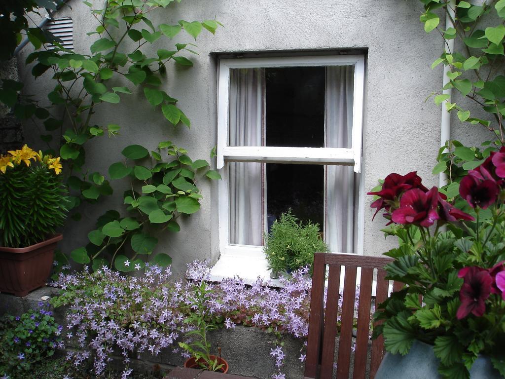 Harrington House Hostel Dublin Exterior foto